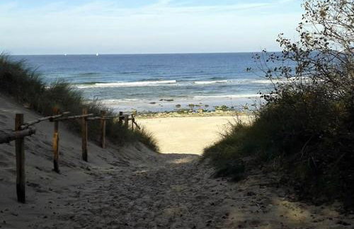 Küstennest Rügen - Foto 17