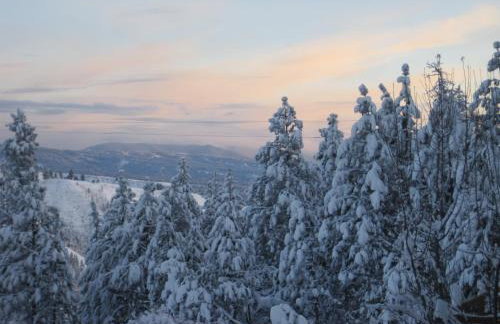 Whitebird Summit Lodge - Foto 17