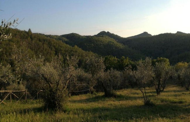 Tranquil Chianti Escape for 4 - Foto 29