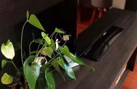 Apartamentos La Blanca - Foto 23