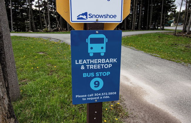 Leatherbark - Foto 15