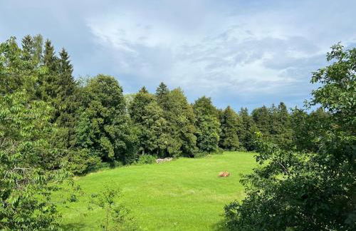 FeWo Staudinger - Foto 6