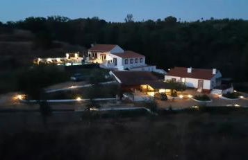 Gecko Pego Longo - Foto 48