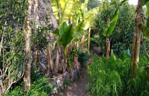 Appartement avec piscine privée et vue château proche Sarlat - FR-1-616-39 - Foto 12