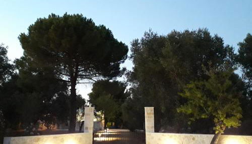 Trullo Sotto le Stelle - Foto 4