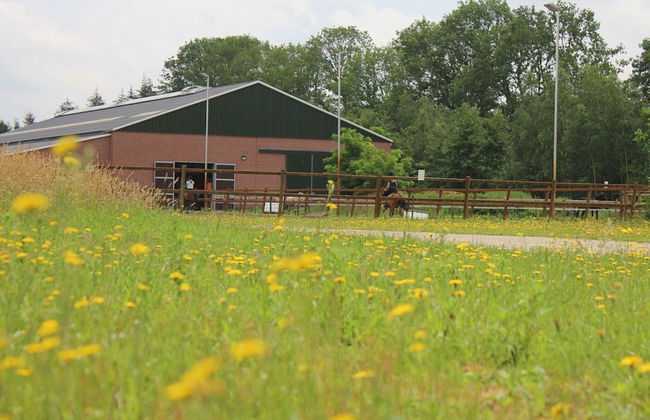 Relaxing Woodland Retreat - Foto 23