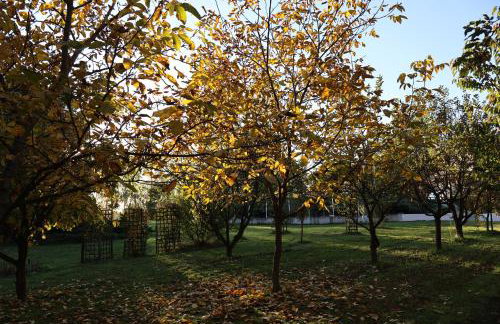 Rezydencja Pod Platanem - Photo 14