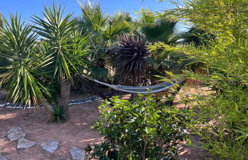 Quinta oásis Eden - Photo 4