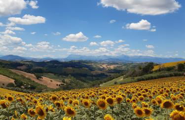 mansio maritima - Foto 37