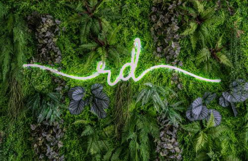 GALIHOST - RD Hotel Apartamento con piscina climatizada - Photo 14