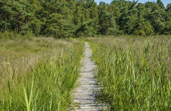 Chalet in Holiday Park With Private Terrace - Photo 31