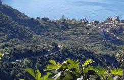 Residenza Solferino - Foto 40