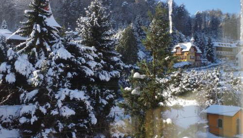 Elbresort Kurort Rathen - Foto 3