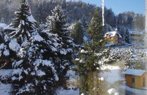 Elbresort Kurort Rathen - Foto 3