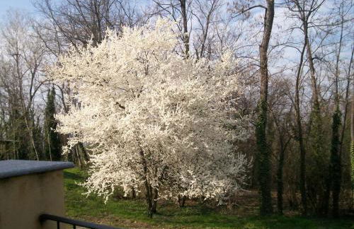 L'Atelier di Pierflavio Gallina - Photo 47