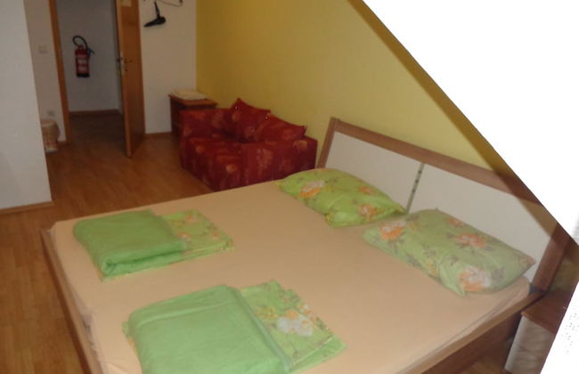 Tourist farm and beekeeping Salamun - Foto 3