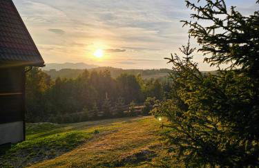 Osada Sierpnica - Uroczy dom z kominkiem i balią w Górach Sowich - Foto 54