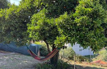 VIVA Countryside House - Foto 54