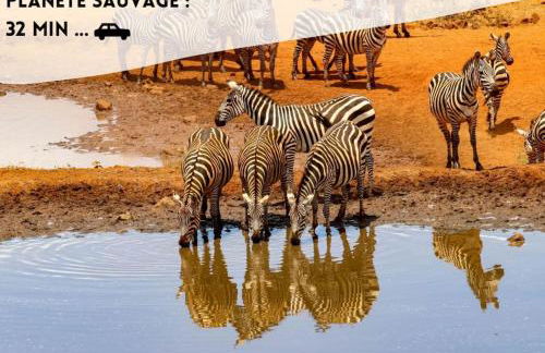 Le Joséphine - Foto 7