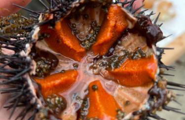 Chalet maisonette dans hameau calme - Foto 28