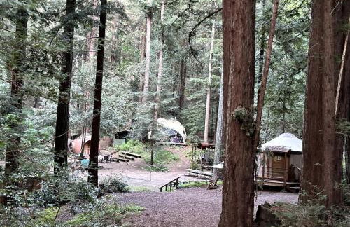 Private Glamping Getaway in the Redwoods near Santa Cruz, California - Foto 80