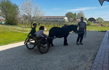 Agriturismo Carne Sicura - Foto 12