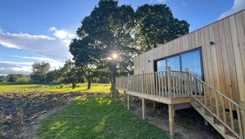 Unbox at Poplar Tree - Photo 2, Garden, Garden view