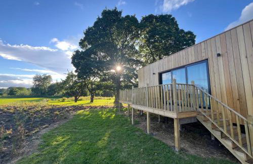 Unbox at Poplar Tree - Photo 2