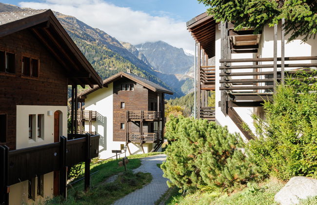 Aragon M88 - Foto 41