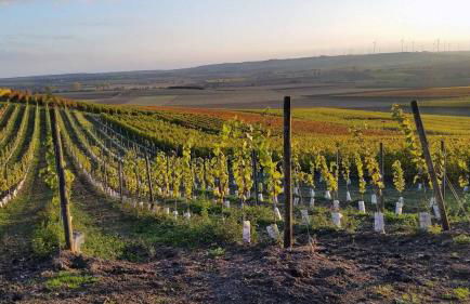 Ferienwohnung Olm - Foto 26