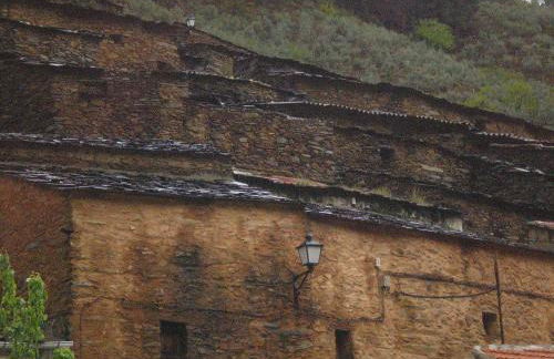 La Jelechera - Foto 37