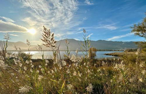 Pineto, villa 3 chambres au coeur de la pinède - Foto 31