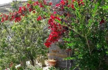 Πέτρινο - Foto 8