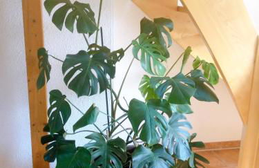 Wohnung mit Stil - Foto 24