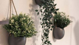 Apartment Schwarzwald mit Zugang Pool und Sauna - Foto 3