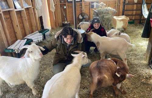 Catskills Aframe, Water View, Goat Sanctuary - Foto 74