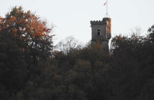 Alte Mühle Kelbra - ehemalig ALBIG - Foto 50