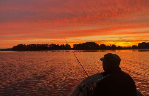 modernes Ferienhaus Sonnendeck 70 QM I Strandnah I Terrasse I 2 Schlafzimmer I Nähe Werbellinsee - Photo 22