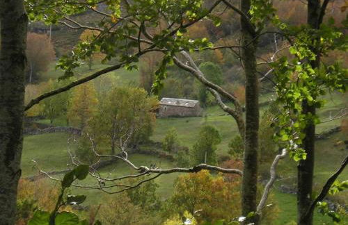 Preciosa cabaña pasiega restaurada - Foto 34