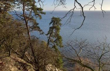 Apartamenty Pod Debem (Ferienwohnungen an der uralten Eiche) - Foto 28