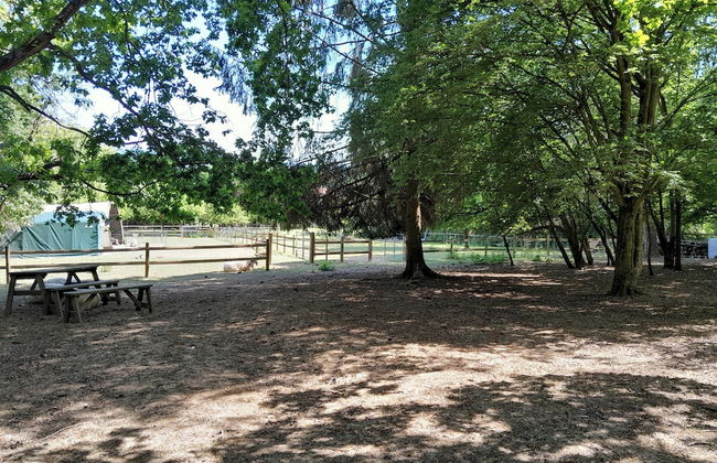 Little Greenwood Shepherd Hut - Sleeps 2 - Foto 14