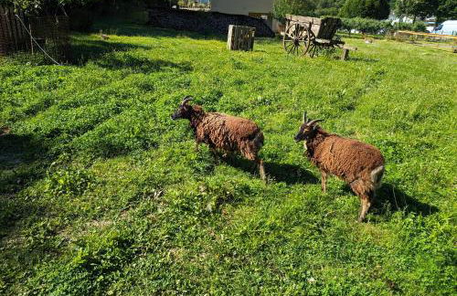 Au Ptit Bonheur De La Semoy - Foto 18