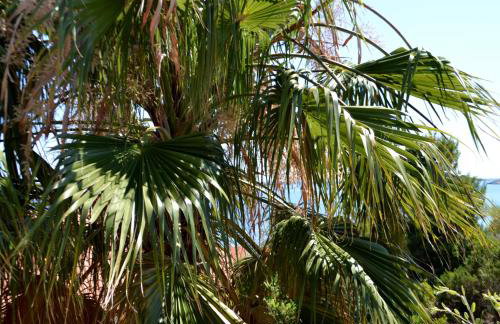 Apartments Selleng - Photo 27