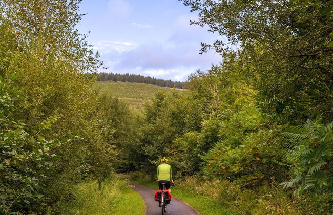 Happy Days Afan Forest - Foto 22