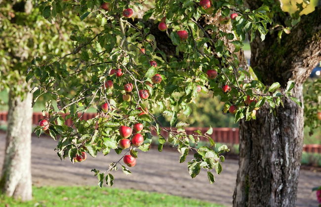 Meadow View Cottage in Winterstein Thuringia near Ski Area - Foto 17