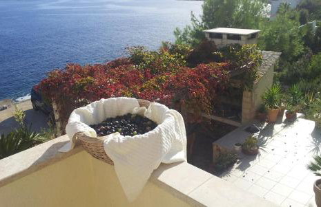 Apartment MORE Island Vis - Photo 39