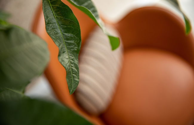 Kanopian Penthouse Hotel - Foto 75