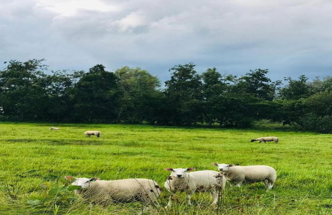 Canal-side Stay, Giethoorn - Photo 41
