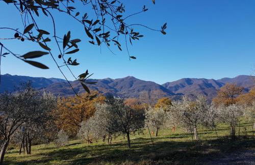 Agriturismo LA VECCHIA CASCINA - Foto 17