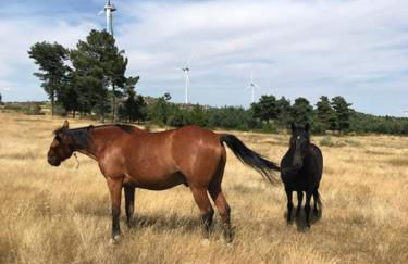 Quinchoso dos Bentos - Foto 67